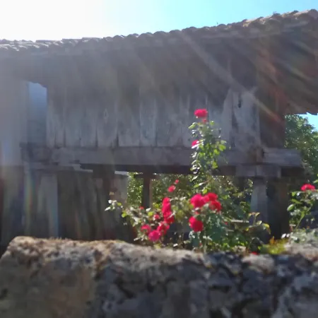 Vakantiehuis Casa La Cruz A 2km De *