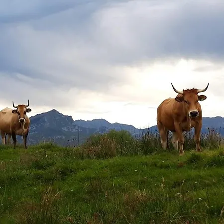 Casa La Cruz A 2km De Onís