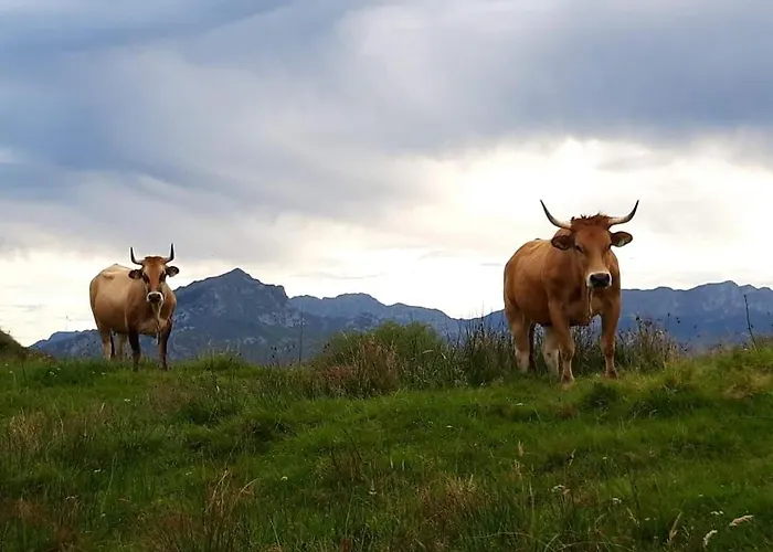 Casa La Cruz A 2km De Onís
